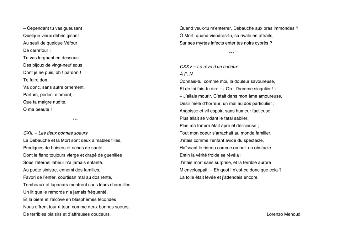 LES FLEURS DU MAL AU DOS