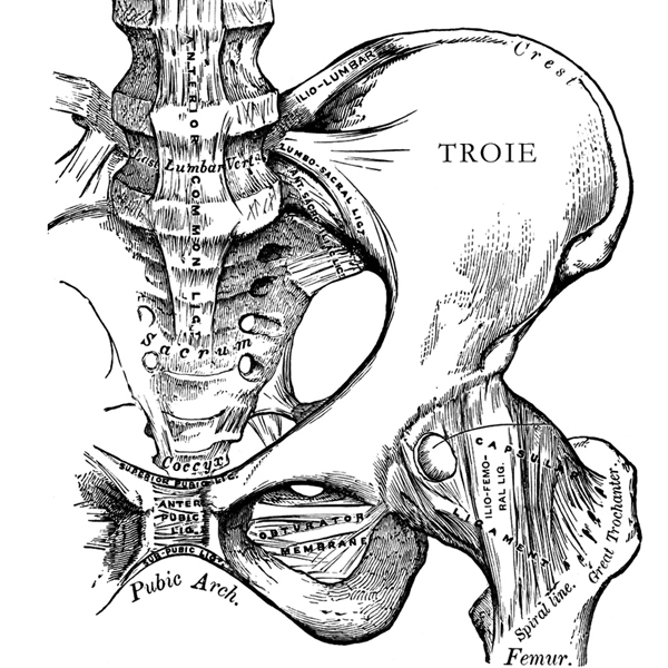 Lorenzo Menoud, ILIUM