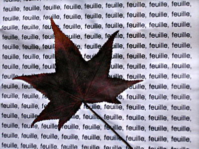 Lorenzo Menoud, feuille