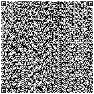 QR poetry, Lorenzo Menoud