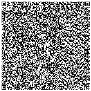 QR poetry, Lorenzo Menoud