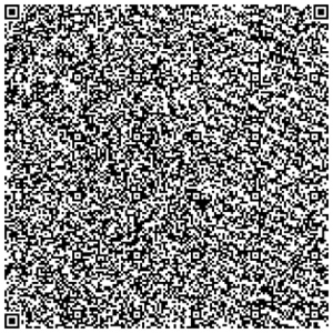 QR poetry, Lorenzo Menoud