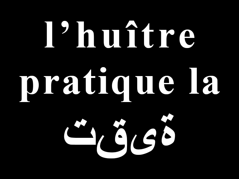 taqiyya poetry