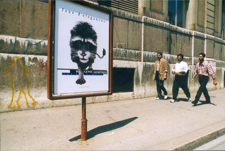 Lorenzo Menoud, bon génie génétique